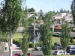 city10.jpg (113002 bytes)