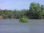 river float08.jpg (55832 bytes)
