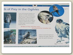 Interpretive signs in the park