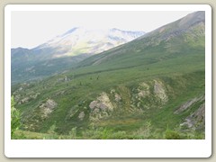 Scenic views in Tombstone Park