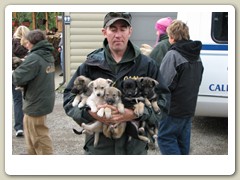 One of the employees with an arm full of puppies