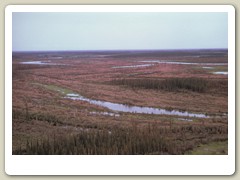 Yukon Flats