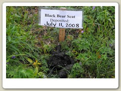 Sign along the trail