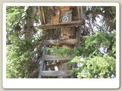 Moose Creek Lodge artwork