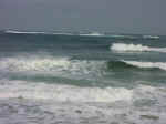 seal_beach-07.jpg (50058 bytes)
