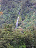 wilderness-08.jpg (63877 bytes)