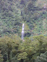 wilderness-10.jpg (64221 bytes)