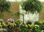 gardens-03.jpg (106409 bytes)