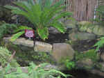 gardens-04.jpg (98064 bytes)