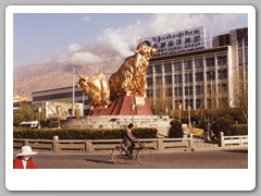 Golden Yak in traffic circle