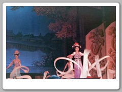 The Chinese opera