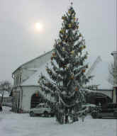 Pc130236.jpg (74695 bytes)