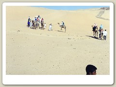 Nubian Desert camel ride to monastery