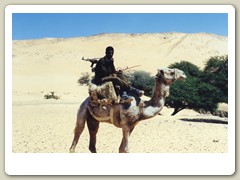 Return from our camel ride