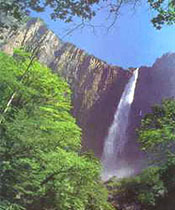 Basaseachic Falls view from the canyon floor