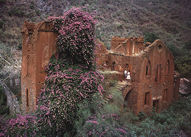 Ruins of the Alexander Sheppard mansion
