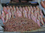 market11.jpg (80811 bytes)