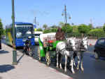 carriage04.jpg (79503 bytes)