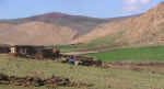 berber03.jpg (60994 bytes)