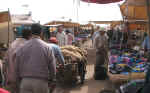 market03.jpg (65628 bytes)