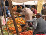 market08.jpg (93400 bytes)