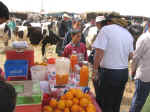 market21.jpg (77048 bytes)