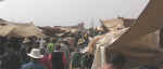 market22.jpg (31377 bytes)