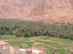 todra valley09.jpg (94640 bytes)